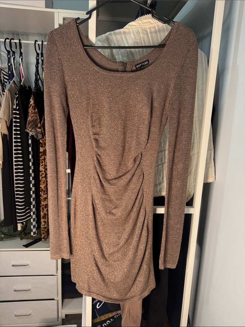 Express Metallic Taupe Long-Sleeve Ruched Bodycon Dress